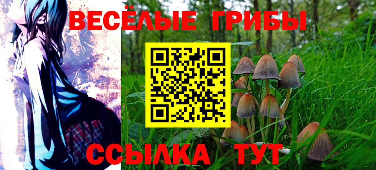 Новый Уренгой  Псилоцибиновые грибы Magic Shrooms  Вход с VPN 